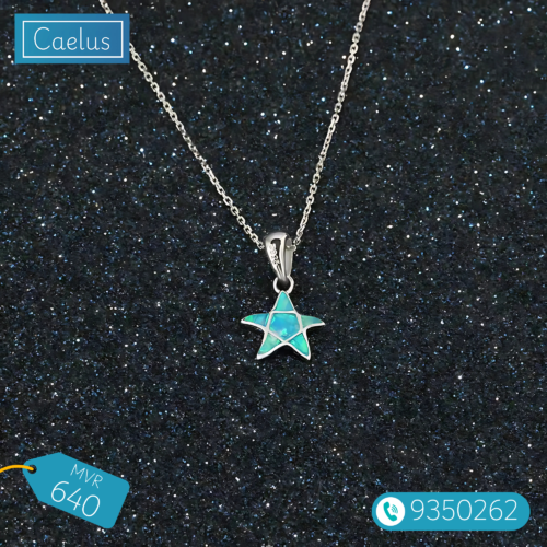 Ocean Star Necklace - Image 2